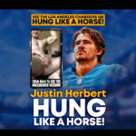 justin herbert hung like a horse