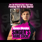 shawn mendes singer's hard cock