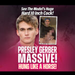 presley gerber massive hung like a horse