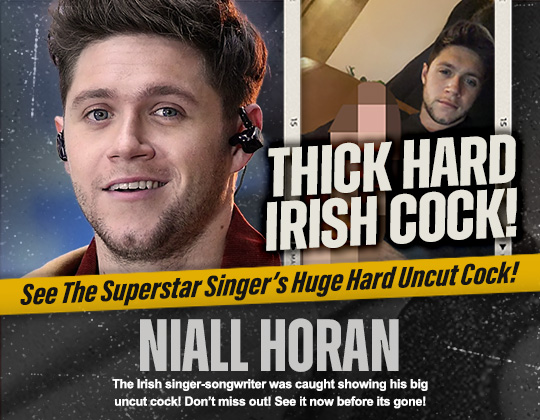 niall horan dick cock penis nude naked